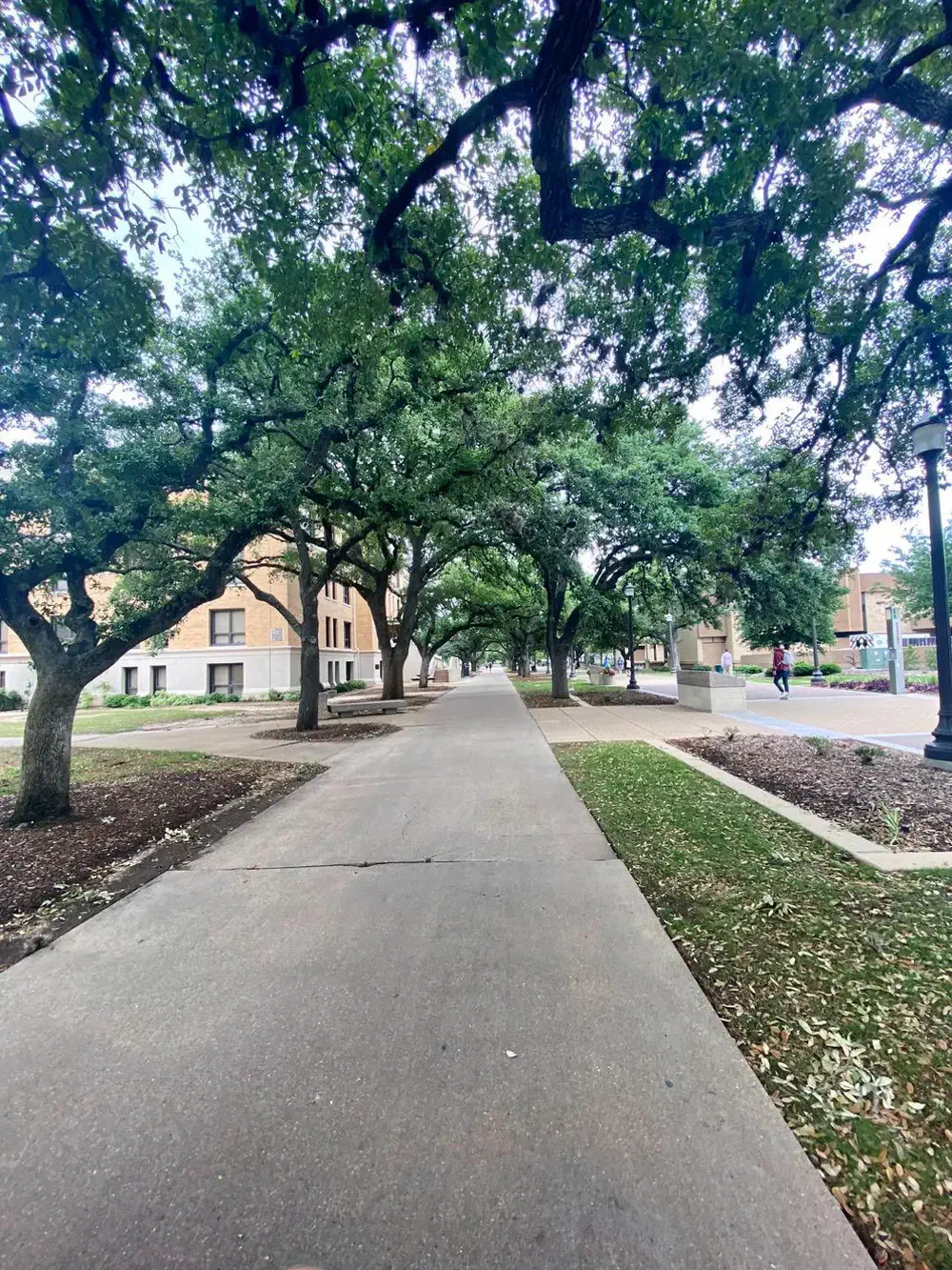 Military Walk in May 2023