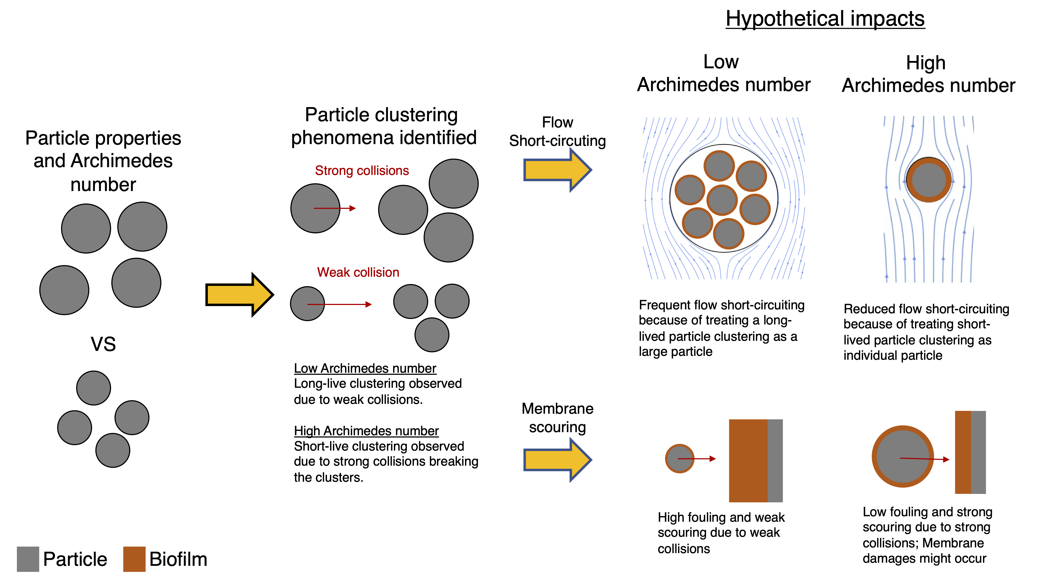 Hypothetical impacts of particle properties and Archimedes number on fluidized-bed reactor modeling, design and operation.