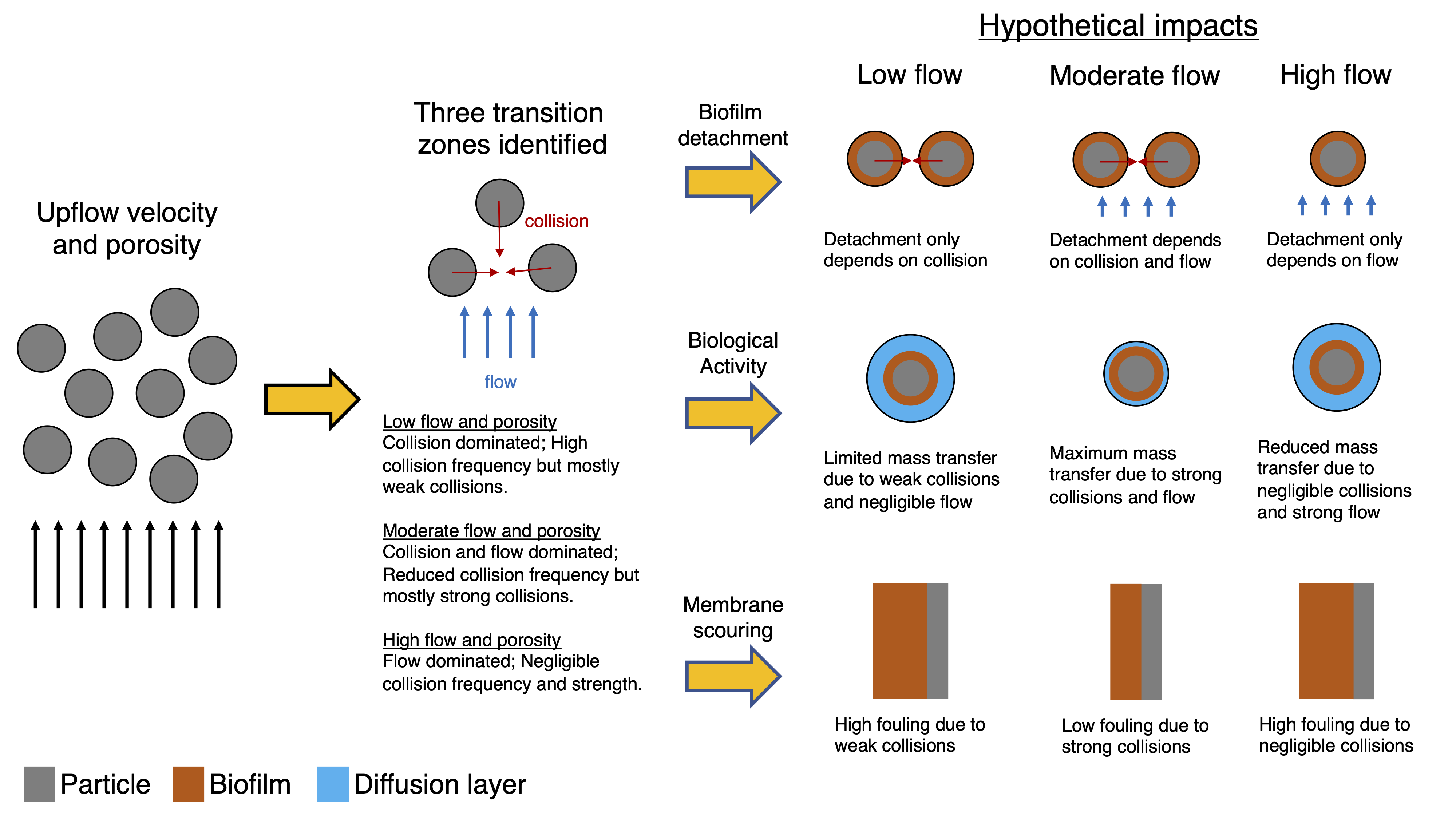 Hypothetical impacts of upflow velocity and porosity on fluidized-bed reactor modeling, design and operation.