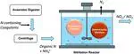 Impacts of nitrogen-containing coagulants on the nitritation/denitrification of anaerobic digester centrate
