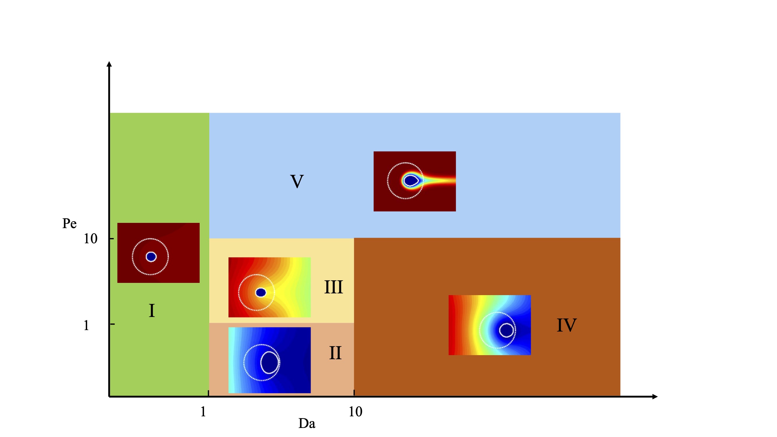 A LevelSet Immersed Boundary Method for Reactive Transport in Complex